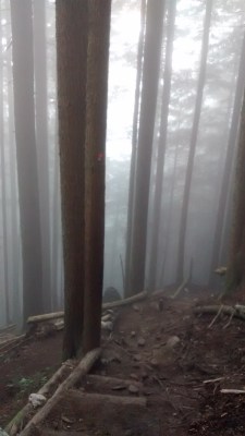 It was quite foggy near the end of the BCMC