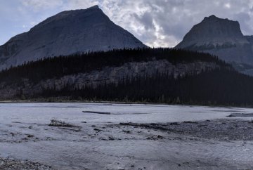 Howse Floodplain, Great Divide Trail, 2018